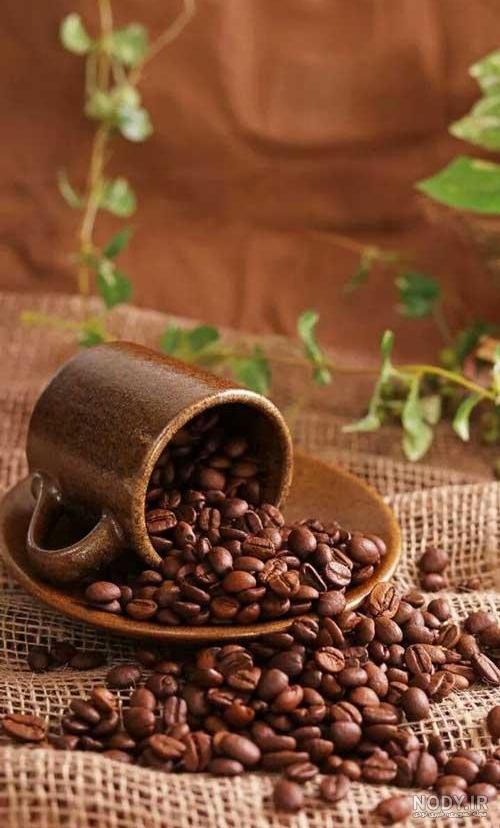 تصویر با کیفیت پس زمینه قهوه ایی