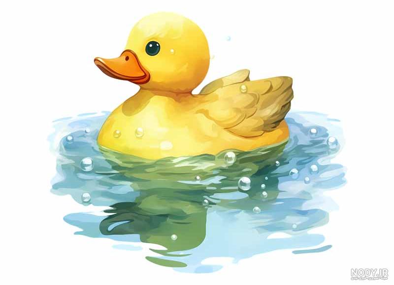عکس های اردک با کیفیت بالا