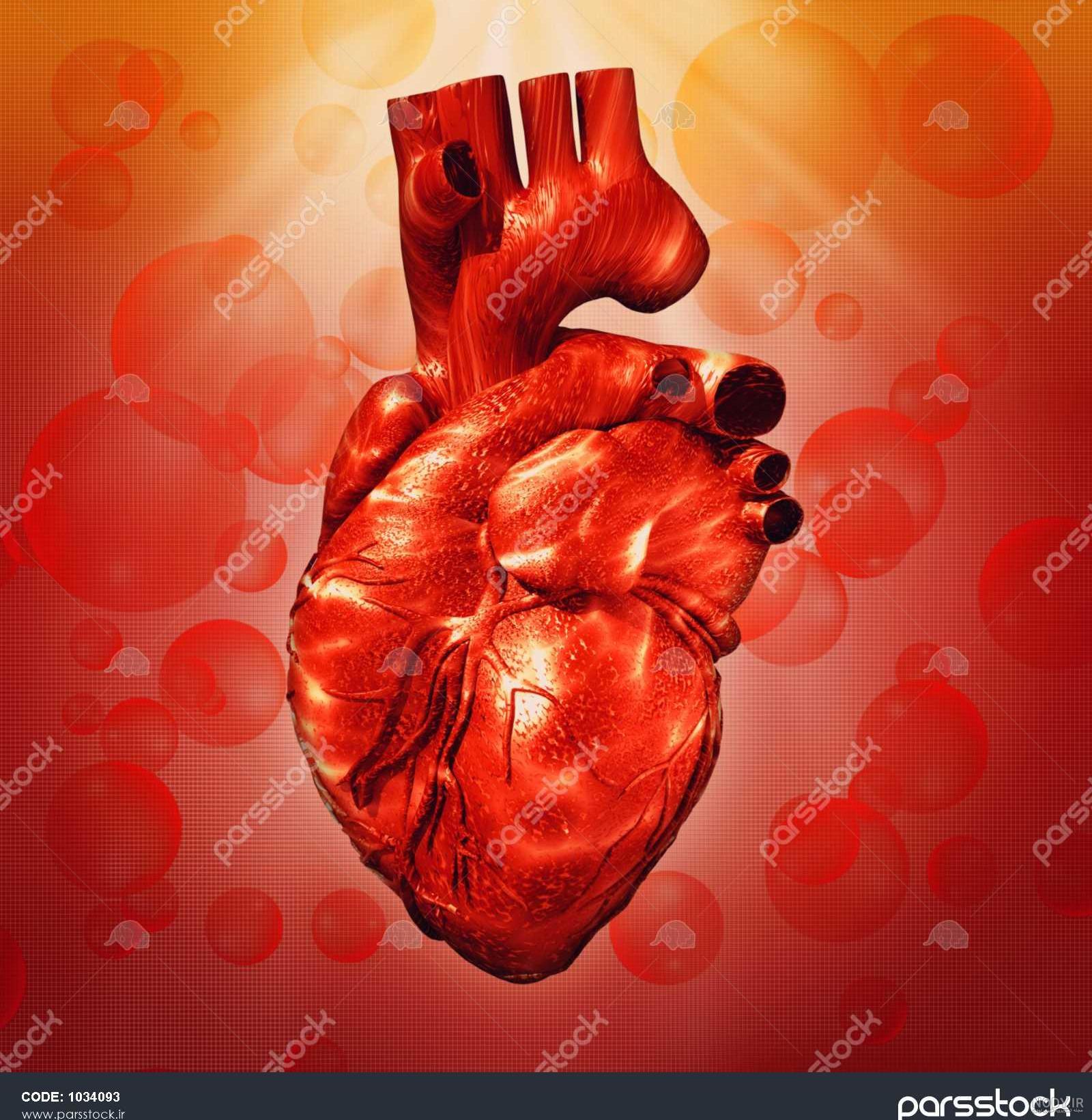 عکس از قلب پزشکی