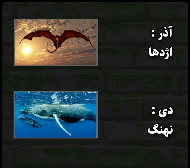 عکس حیوان ماه تولد آذر عکس حیوان ماه تولد آذر