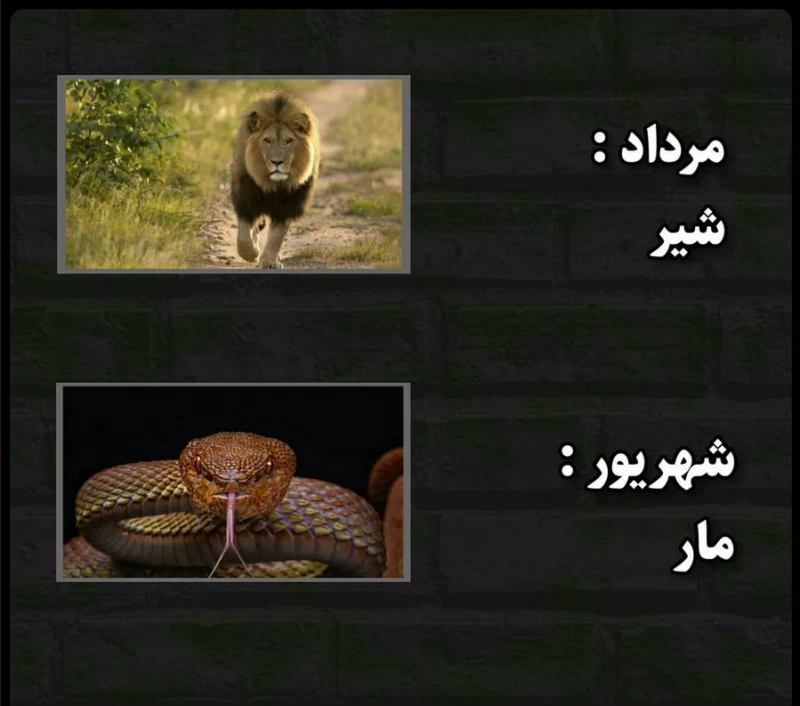 عکس حیوان ماه تولد اذر عکس حیوان ماه تولد اذر