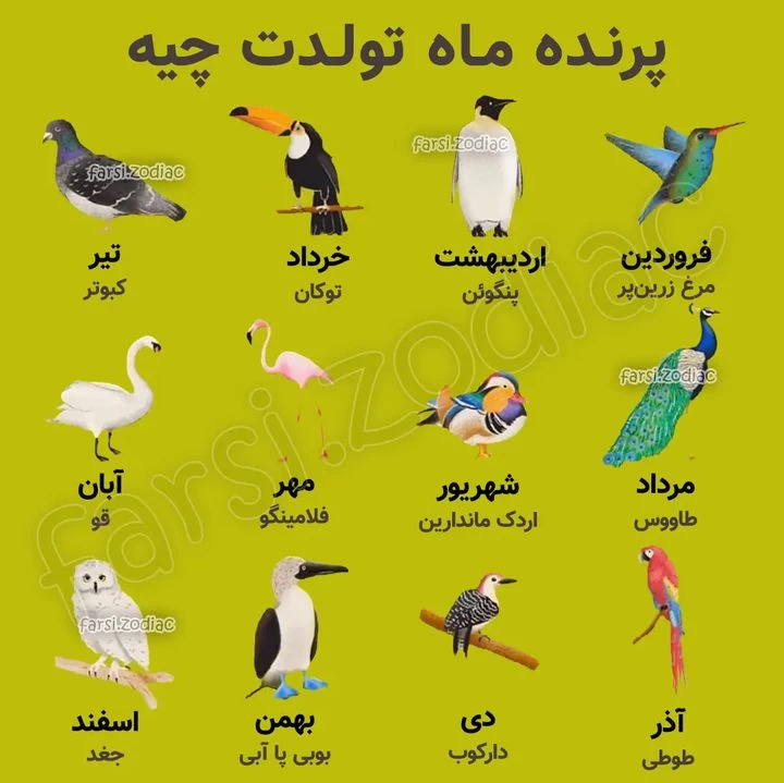 عکس حیوان ماه تولد مهر عکس حیوان ماه تولد مهر