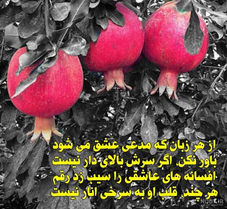 عکس دونفره یلدا - عکس نودی