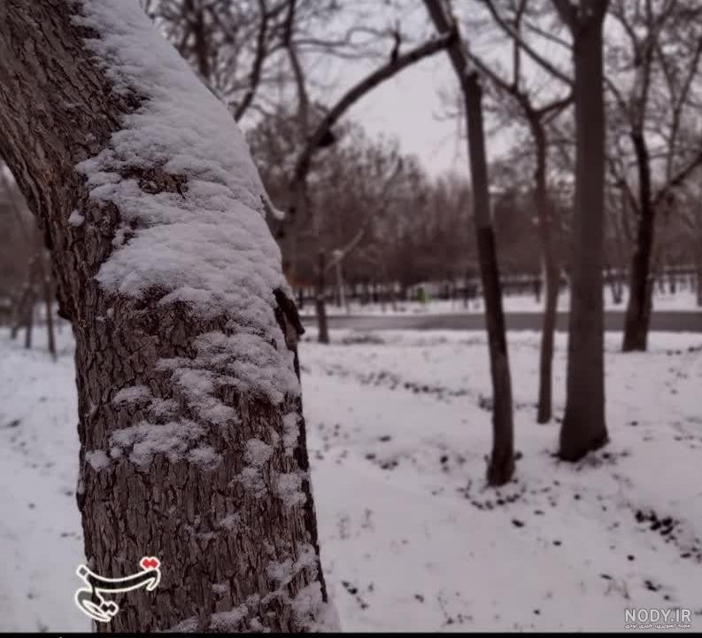 عکس های منظره برفی و طبیعت زمستانی با کیفیت بالا برای پروفایل عکس های منظره برفی و طبیعت زمستانی با کیفیت بالا برای پروفایل
