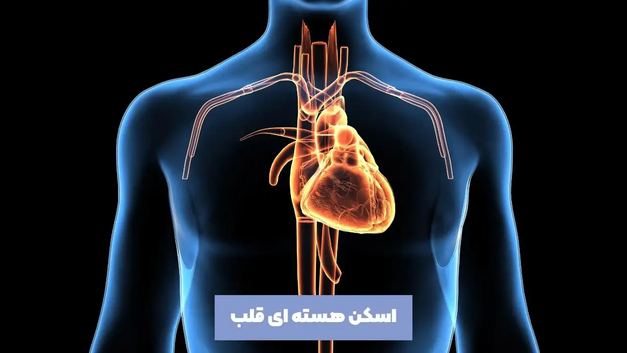 عکس گوشی پزشکی روی صفحه نوار قلب به شکل قلب – عکس با کیفیت و تصاویر استوک حرفه ای عکس گوشی پزشکی روی صفحه نوار قلب به شکل قلب – عکس با کیفیت و تصاویر استوک حرفه ای