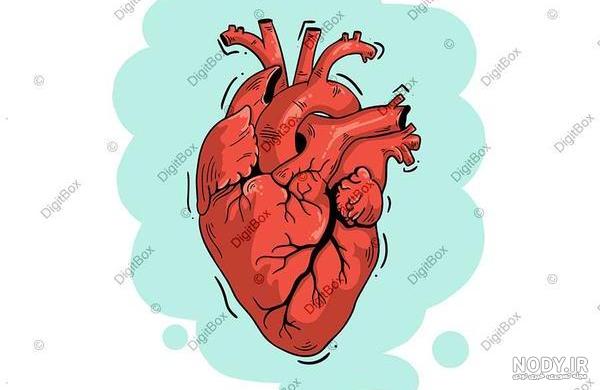عکس گوشی پزشکی لیتمن ۱۴۰۰ - عکس نودی عکس گوشی پزشکی لیتمن ۱۴۰۰ - عکس نودی