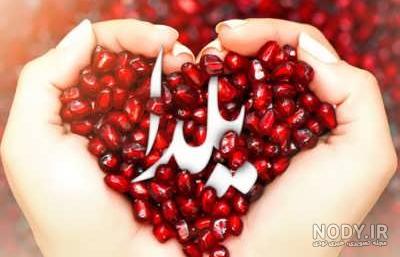 متن تبریک شب یلدا(1403) به معلم ، استاد و مدرس + عکس