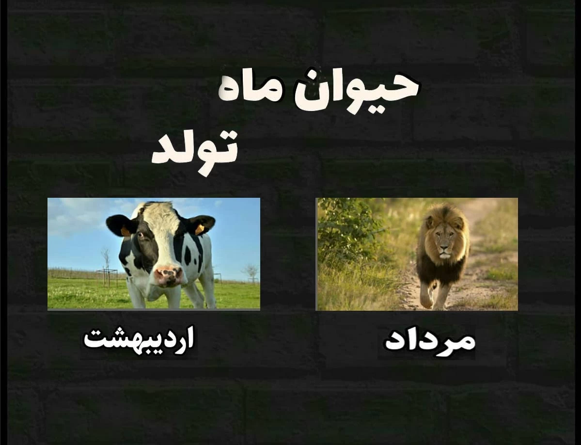 نماد ماه های سال | معنی نماد ماه تولد و نکاتی در مورد ماه تولد اشخاص نماد ماه های سال | معنی نماد ماه تولد و نکاتی در مورد ماه تولد اشخاص