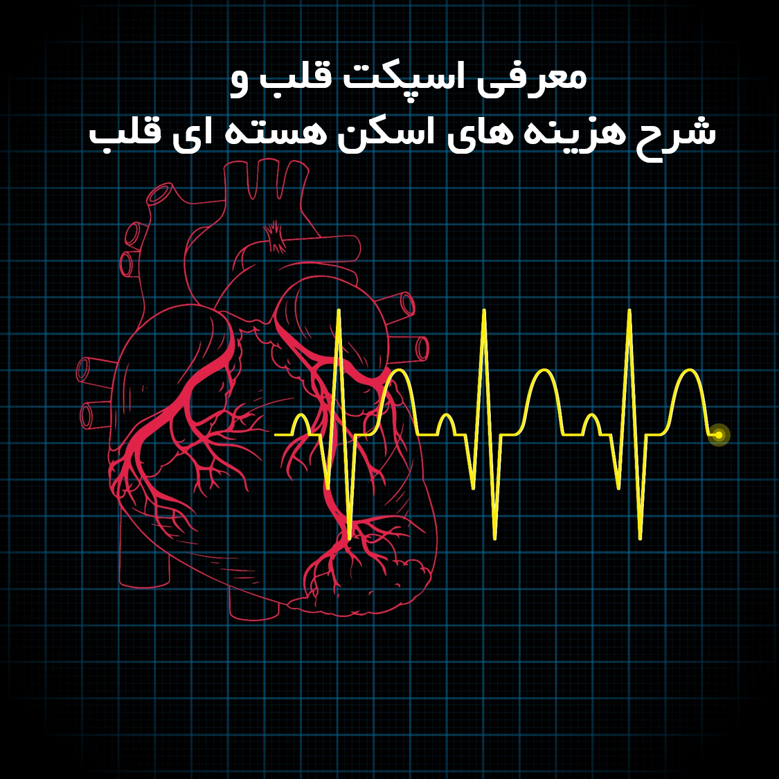 گوشی پزشکی (استتوسکوپ) | شرکت نبض گوشی پزشکی (استتوسکوپ) | شرکت نبض