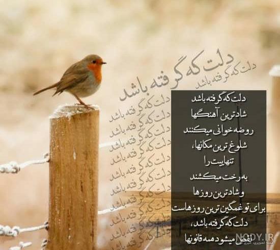 عکس خدایا دلم گرفته از بنده هات - عکس نودی عکس خدایا دلم گرفته از بنده هات - عکس نودی