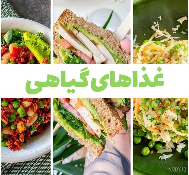 عکس غذا خوشمزه ایرانی - عکس نودی
