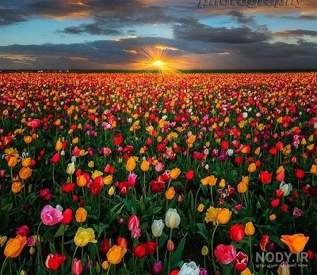 عکس فانتزی طبیعت دخترانه عکس فانتزی طبیعت دخترانه
