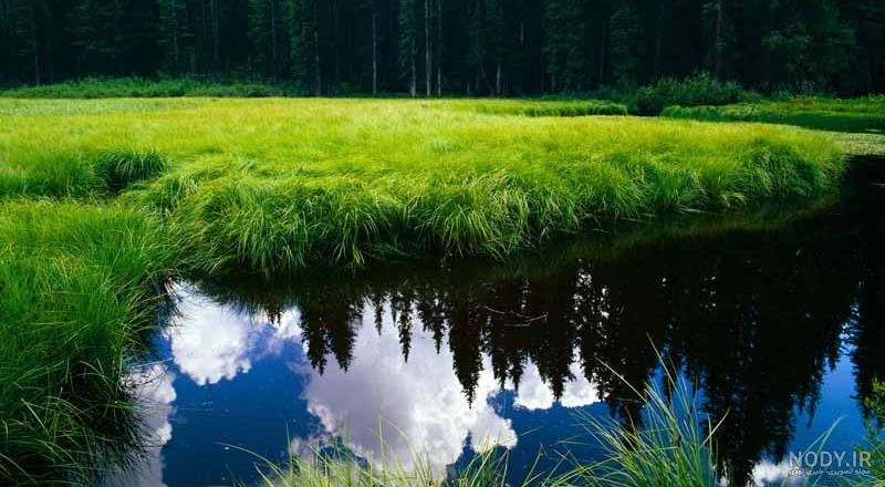 عکس فانتزی طبیعت متحرک عکس فانتزی طبیعت متحرک