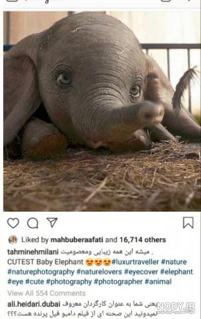 عکس فیلم عکس فیل عکس فیلم عکس فیل