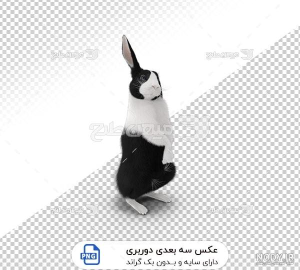 خرگوش های نازمن