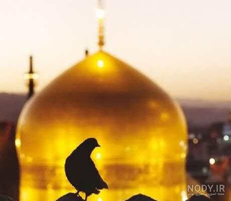 عکس از حرم امام رضا با متن