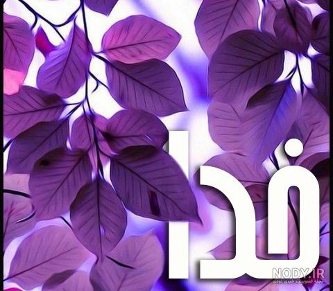 عکس بنام خدا زیبا - عکس نودی عکس بنام خدا زیبا - عکس نودی
