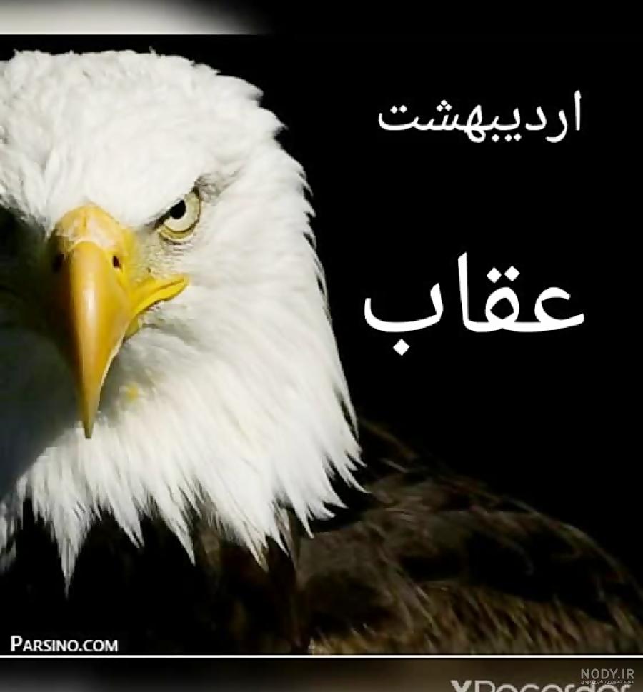 عکس حیوان ماه تیر