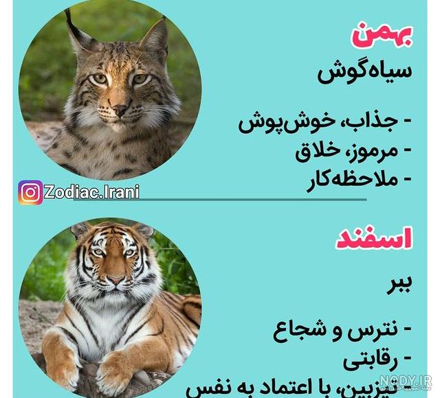 عکس حیوانات متولدین هر ماه