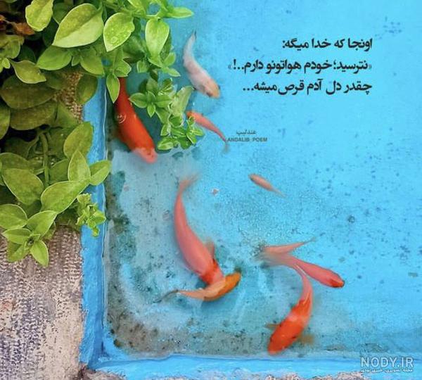 عکس خدا برای پروفایل واتساپ جديد