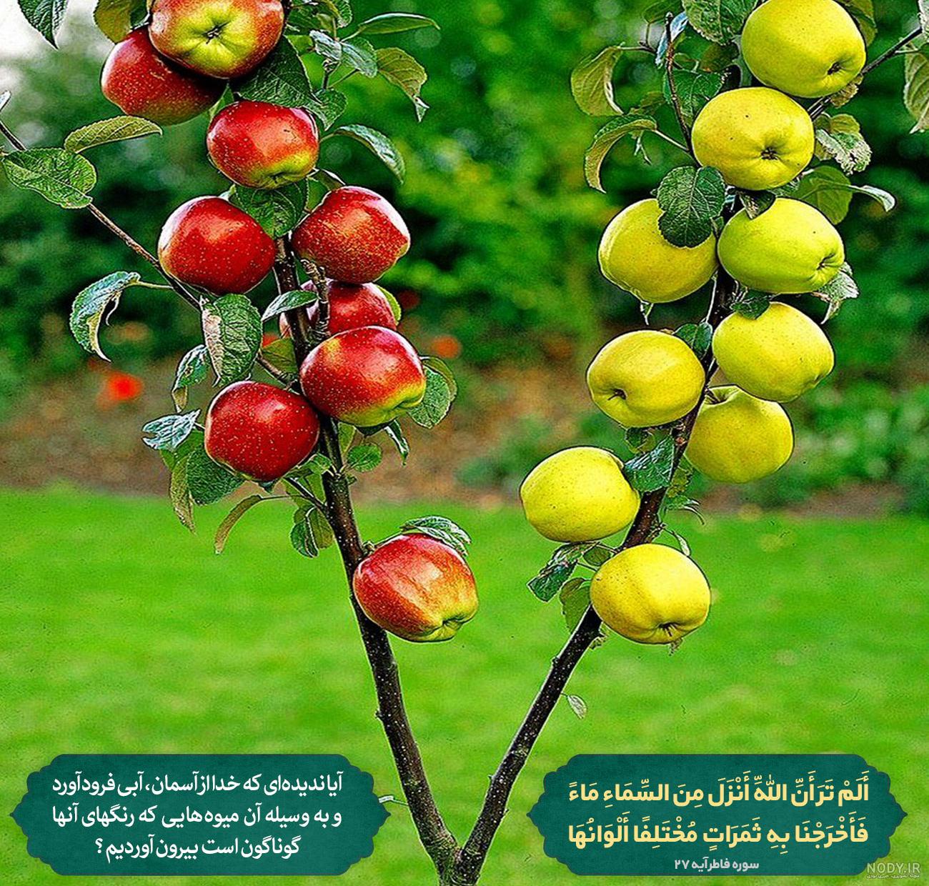 عکس خدا طبیعت