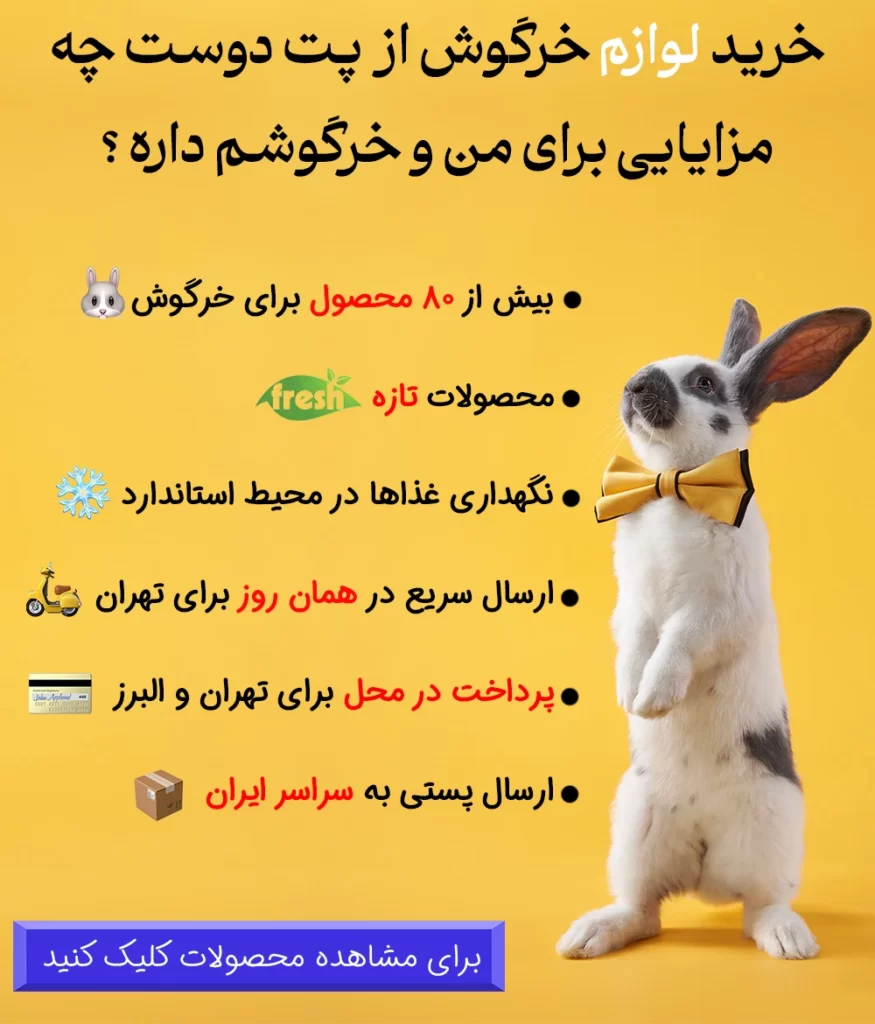 عکس خرگوش سگ پا