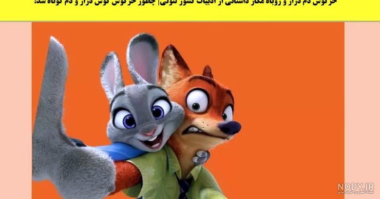 عکس های فیلم خرگوش عکس های فیلم خرگوش