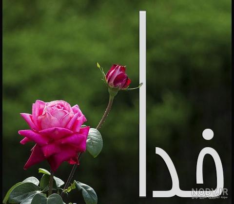 عکس نوشته خدا 1402 برای پروفایل واتساپ + عکس نوشته خدا بزرگه عکس نوشته خدا 1402 برای پروفایل واتساپ + عکس نوشته خدا بزرگه