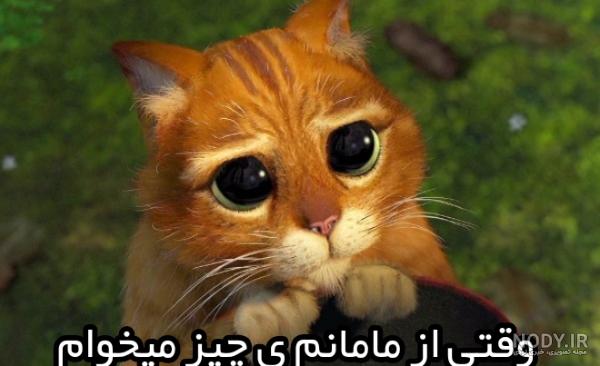 عکس پروفایل شرک