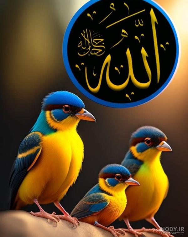 عکسهای کمیاب پروفایل خدا 2024؛ تصاویر رو ببین و حال و هوای پروفایلتو عوض کن! - گلی خانوم عکسهای کمیاب پروفایل خدا 2024؛ تصاویر رو ببین و حال و هوای پروفایلتو عوض کن! - گلی خانوم