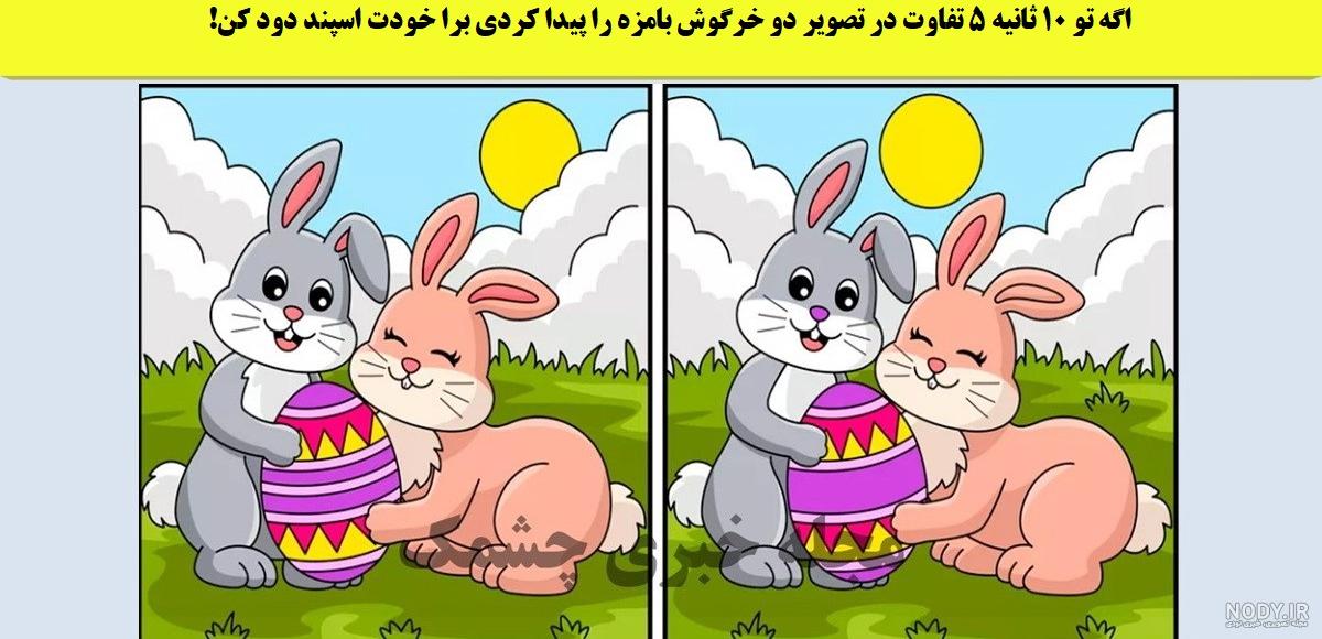 مهم ترین تفاوت بین سگ ها و گربه ها چیست؟ مهم ترین تفاوت بین سگ ها و گربه ها چیست؟