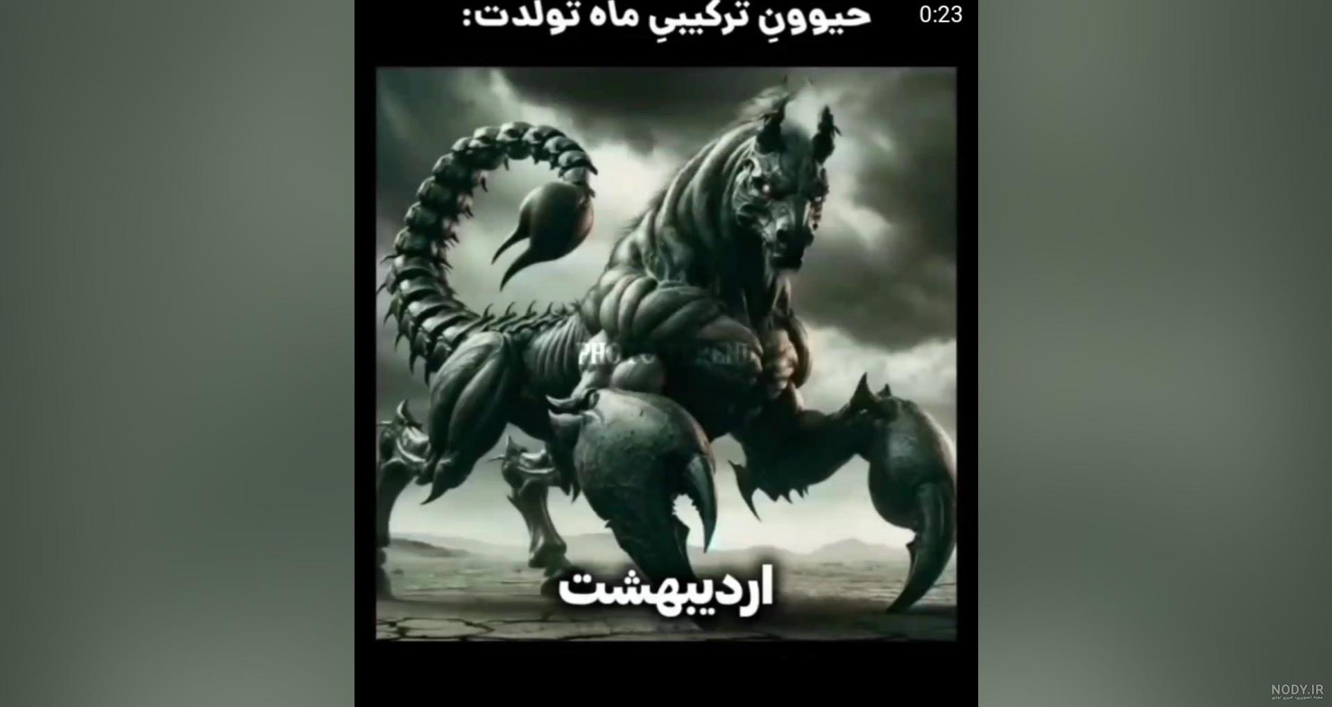 پرنده ماه تولد و شخصیت شناسی متولدین ماه‌ها • مجله تصویر زندگی