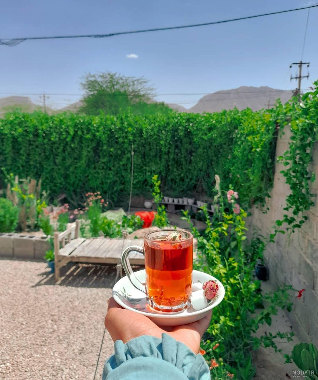 عکس خفن عکس چای در شب