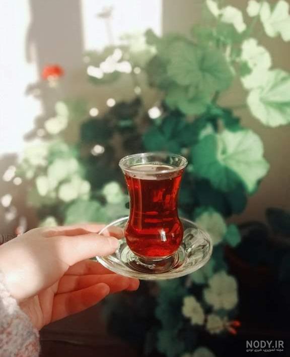 عکس فنجان چای در پاییز