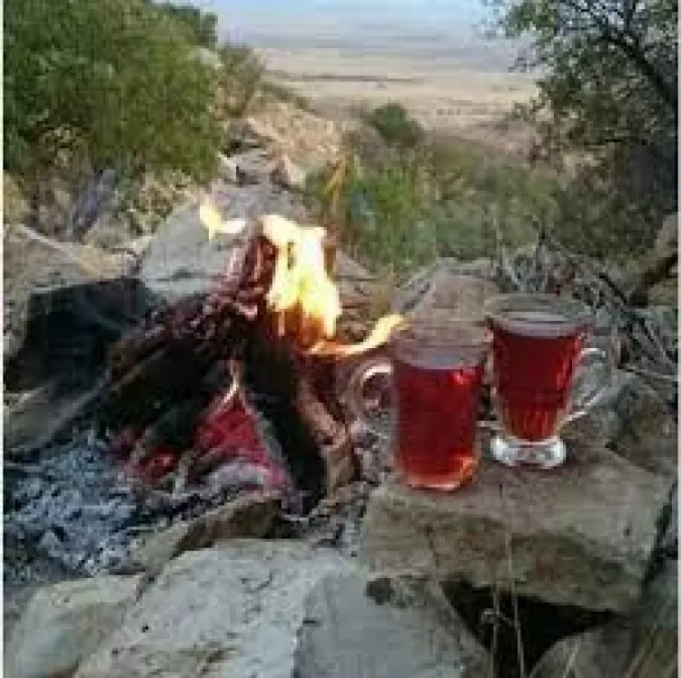 عکس خفن عکس چای در شب