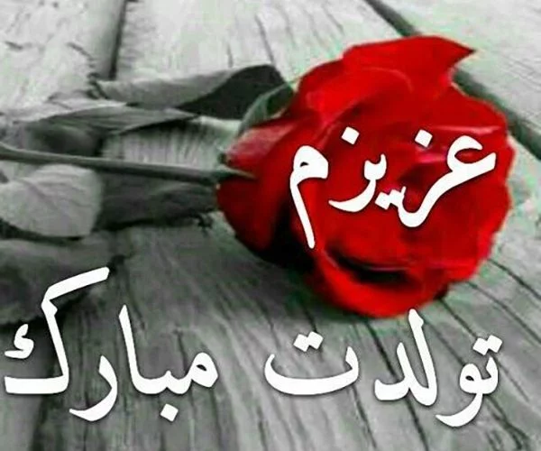 عکس نوشته تولد عمه جونم عکس نوشته تولد عمه جونم