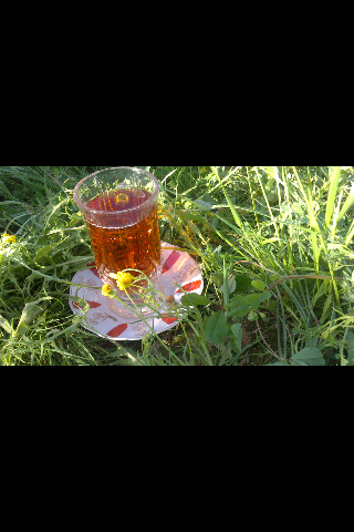 عکس خفن عکس چای در شب