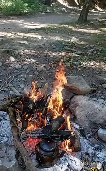 عکس خفن عکس چای در شب