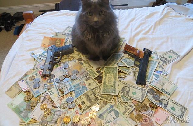 پولدارترین سگ جهان