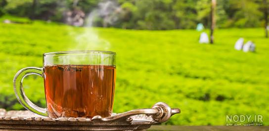 عکس فنجان چای در پاییز