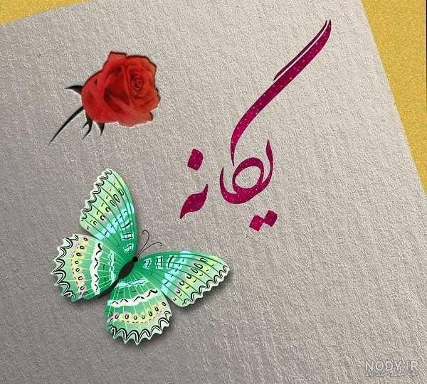 30 متن رسمی و اداری برای تبریک تولد به مدیر 30 متن رسمی و اداری برای تبریک تولد به مدیر