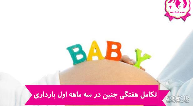 روند رشد جنین در سه ماهه اول بارداری – سونوگرافی و رادیولوژی صدرا | بهترین  سونوگرافی شرق تهران
