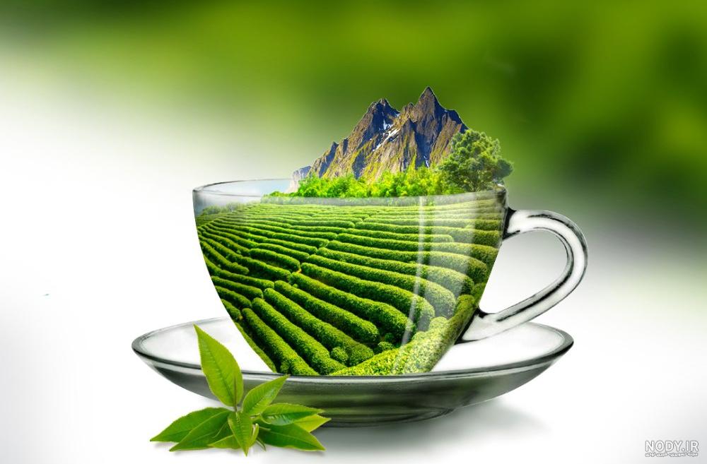 ساخت بزرگترین چای کیسه‌ای جهان /عکس - جدیدترین اخبار ایران و جهان ممتاز  نیوز | ممتاز نیوز