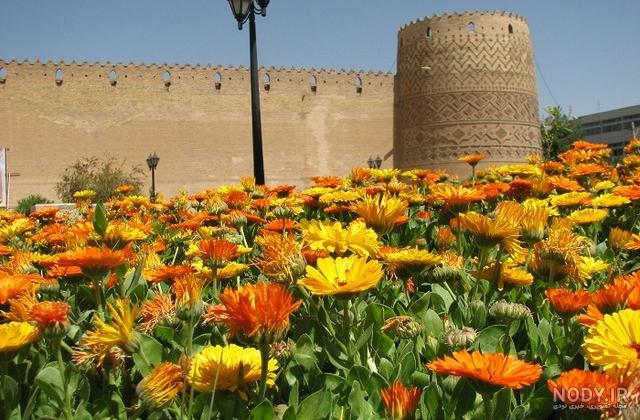 شیراز: معرفی جاهای دیدنی شیراز (1402) + عکس و آدرس | ایرانگرد