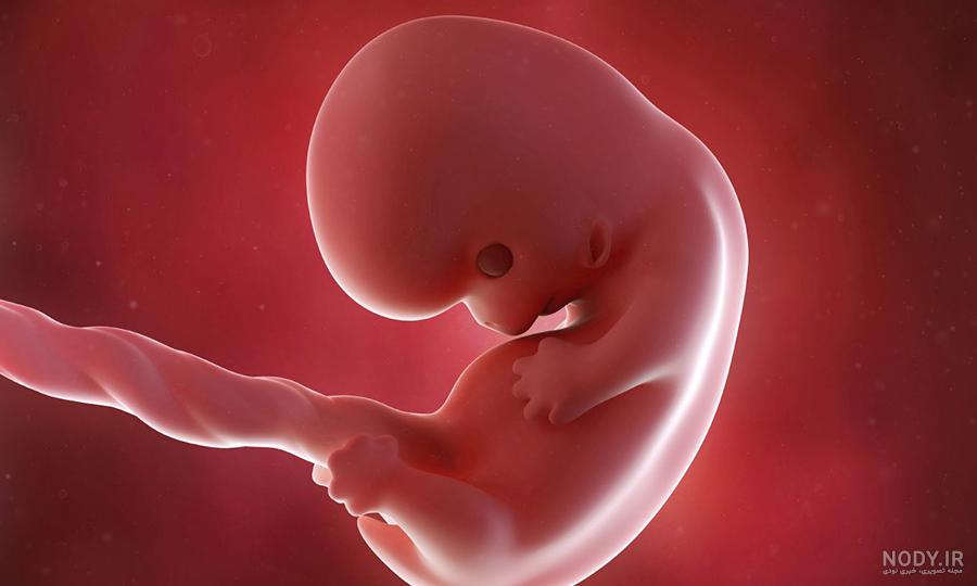عکس جنین یک ماهه دختر
