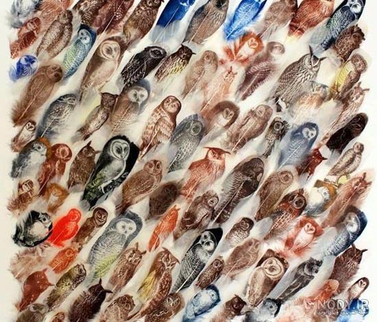 عکس نقاشی های قشنگ - عکس نودی