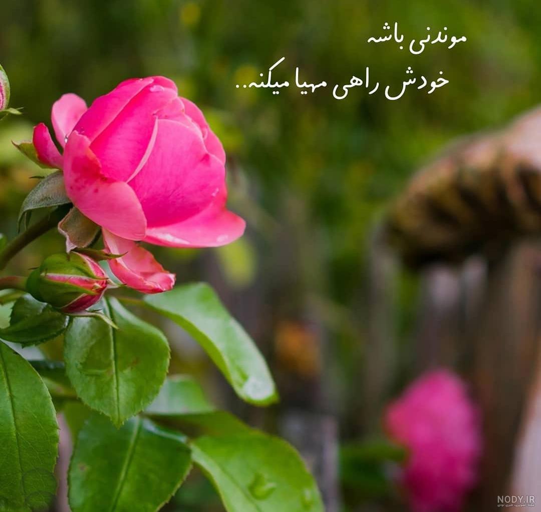 عکس نوشته شاد و زیبا - عکس نودی