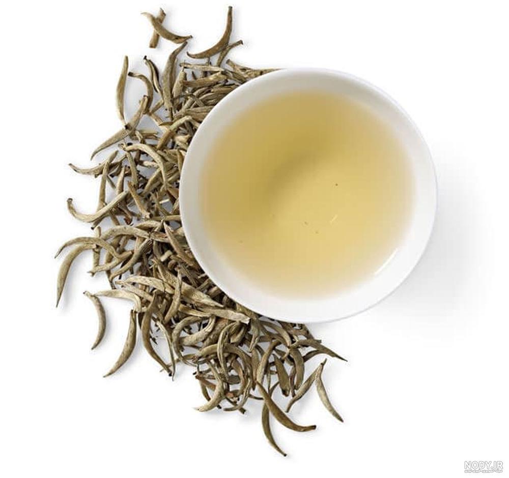 عکس هایی از چای سفید عکس هایی از چای سفید