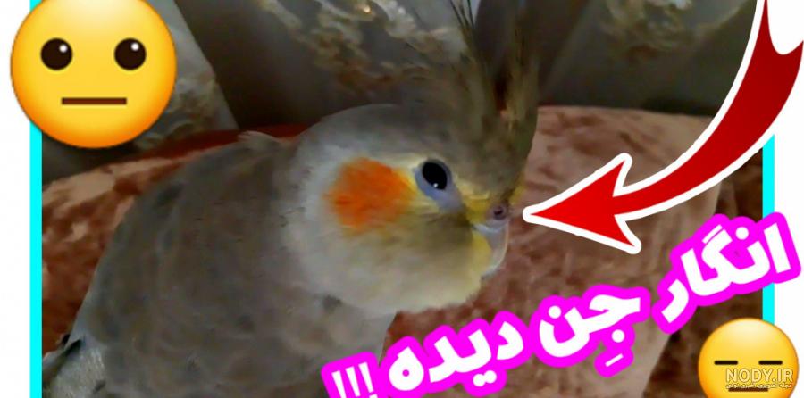 محسن افشانی واقعا جن زده شد + عکس های دیده نشده محسن افشانی واقعا جن زده شد + عکس های دیده نشده