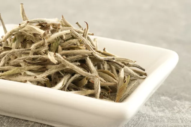 چای سبز - خرید اینترنتی از عطاری آنلاین هزار و چهل گیاه چای سبز - خرید اینترنتی از عطاری آنلاین هزار و چهل گیاه